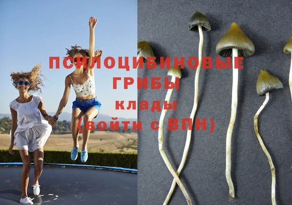 МДМА Абдулино