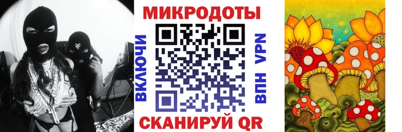 наркошоп  Костомукша  Псилоцибиновые грибы ЛСД 