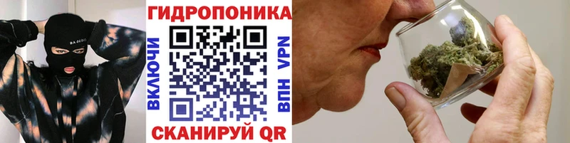 mega tor  Костомукша  Бошки Шишки тримм 